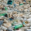 De Ce Trebuie Să Combatem Poluarea Cu Plastic
